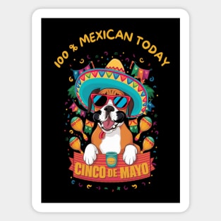 Boxer Dog Cinco de Mayo Sticker